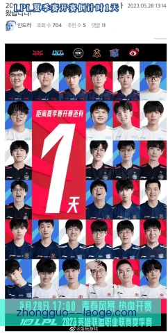 英雄联盟夏季赛黑马球队盘点，谁能一黑到底